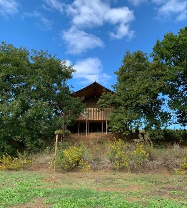 Glamping Podere Angiotto LODGE QUERCIA