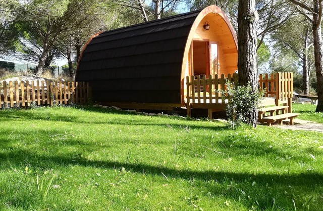 Glamping Sintra. Enjoy the tranquility of the forest.