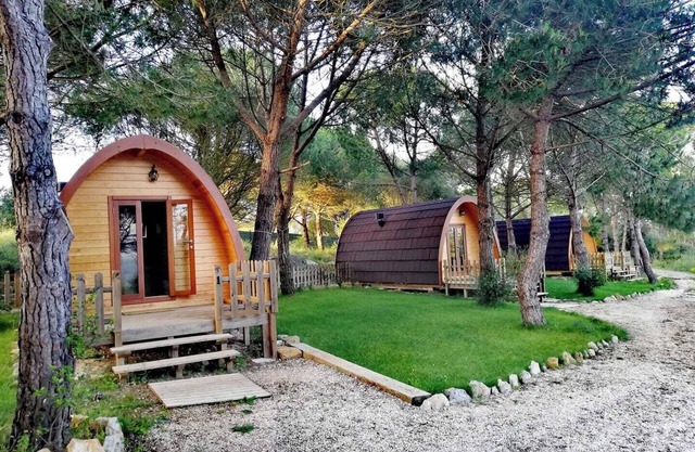 Glamping Sintra POD 3. Enjoy the tranquillity of the forest.
