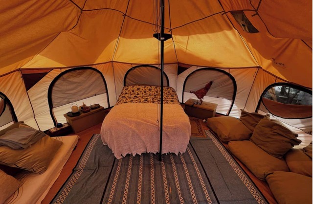 Glamping tent among olive trees In Our Garden Sardinia