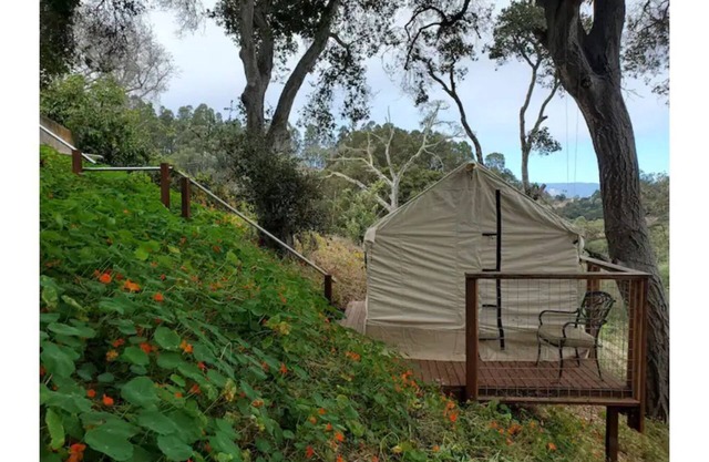 Glamping Wetlands Overlook