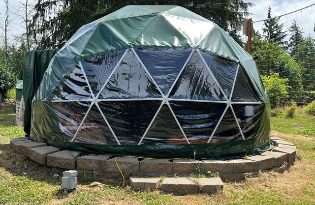 Glamping With Alpacas in an Eco-Friendly Dome Outside of Seattle