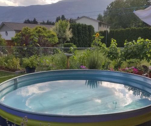Global Village Permaculture BnB