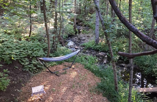 Glorious Summer At Cabin On The Creek