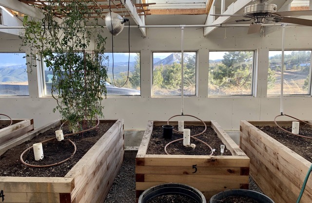 Gold Hill Greenhouse and Yurt
