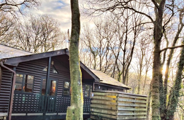 Goldcrest 1-Whirlpool-Woodland Lodges-Carmarthenshire-Tenby