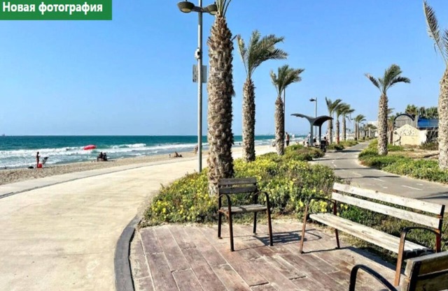 Golden beach apartments by the sea