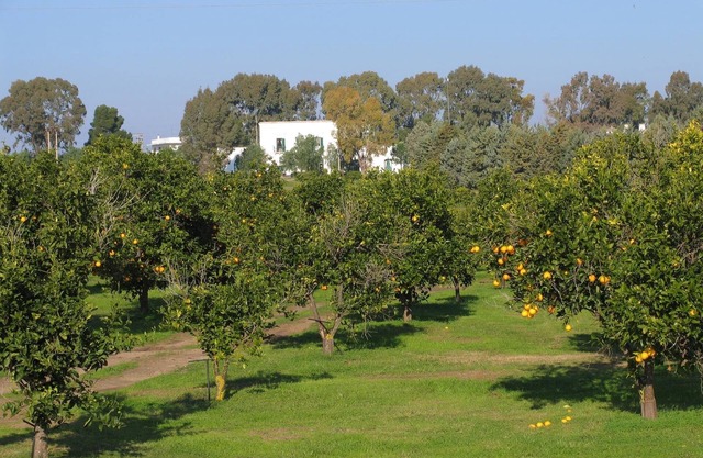 Golf Club Metaponto