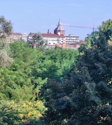 Golgi Archimede Casa