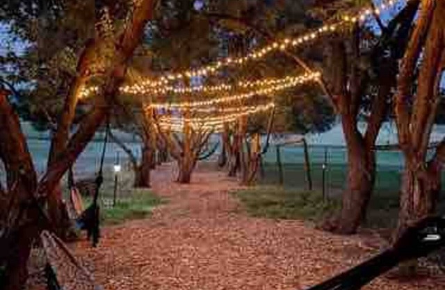 Goose Valley Farm, Alpaca Farm under the Big Horn Mountains