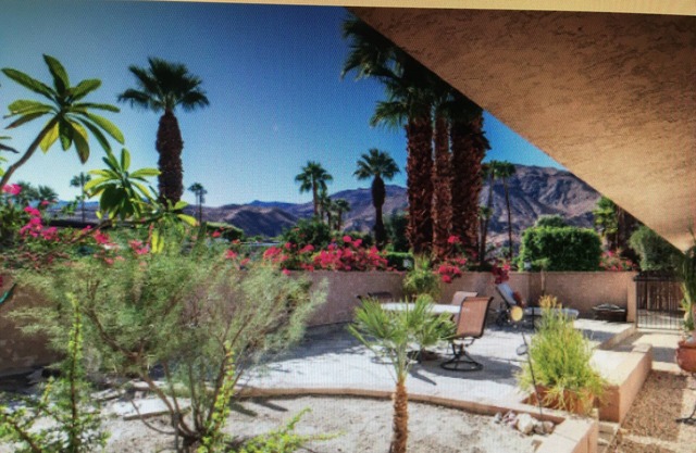 Gorgeous desert setting for comfy 1 BR walkable to famous El Paseo & hiking.