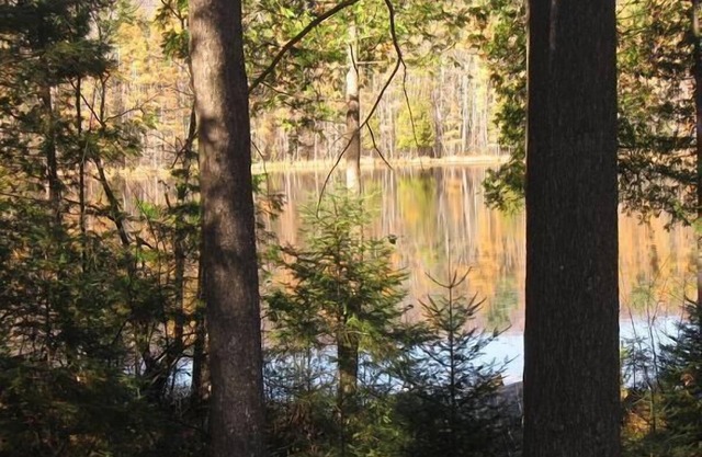 Schöner Kurzurlaub in den schönen Northwoods mit teilweise Blick auf den See