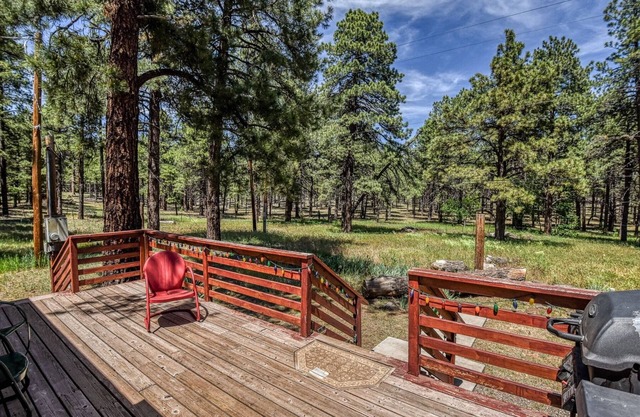 Gorgeous & Historic 3 BR Log Cabin w/ Forest Views / 20 Minutes from Flagstaff