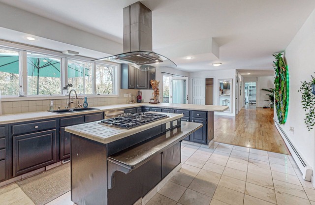 Gorgeous home with fireplaces, skylights, jetted tubs, library & home gym