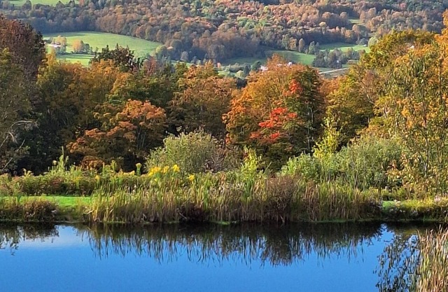 Gorgeous property tucked in the Catskill Mts, with secluded breathtaking views.
