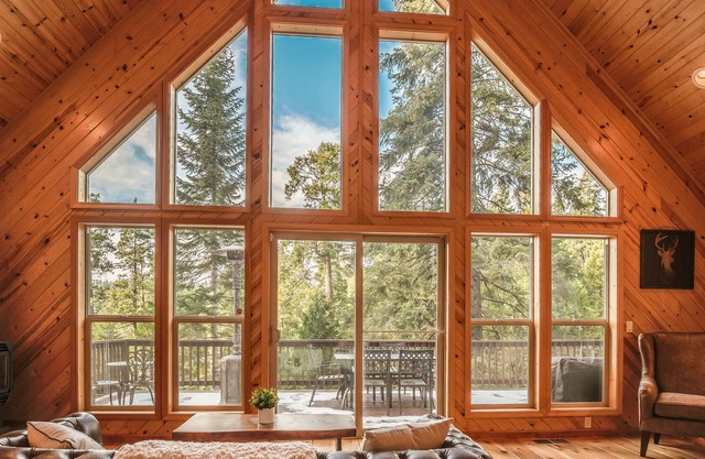 Gorgeous treetop views