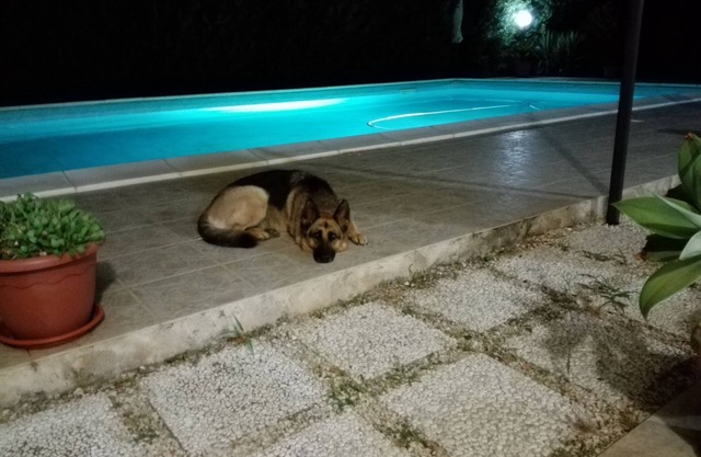 schöne Villa mit Pool