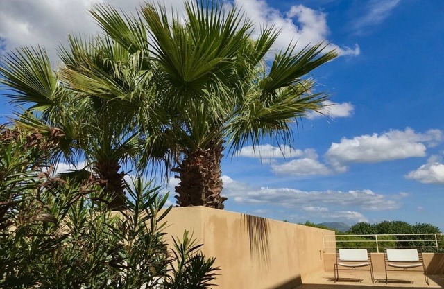 Graffeo Countryside Sea View Homes in Menfi in Sicily - Casa della Palma -
