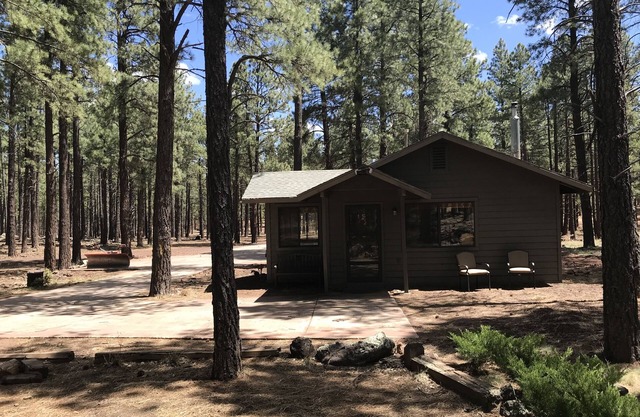 Gemütliche 1b Cottage-Elche sind zurück! Reiten, Walk / Hike, Gasgrill, Feuerstelle, mehr!