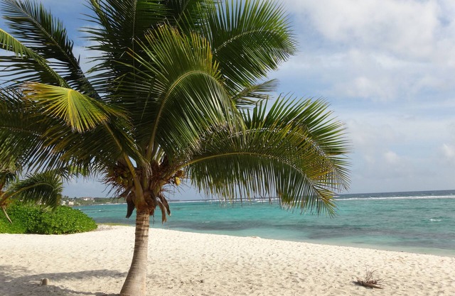 Grand Cayman - Luxus-Apartment mit 2 Schlafzimmern und 2 Badezimmern, wundervolle Terrasse mit Meerblick