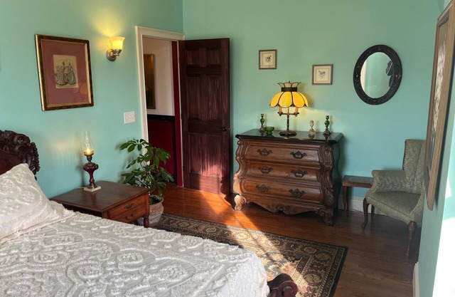 Grand Historic Downtown Apartment