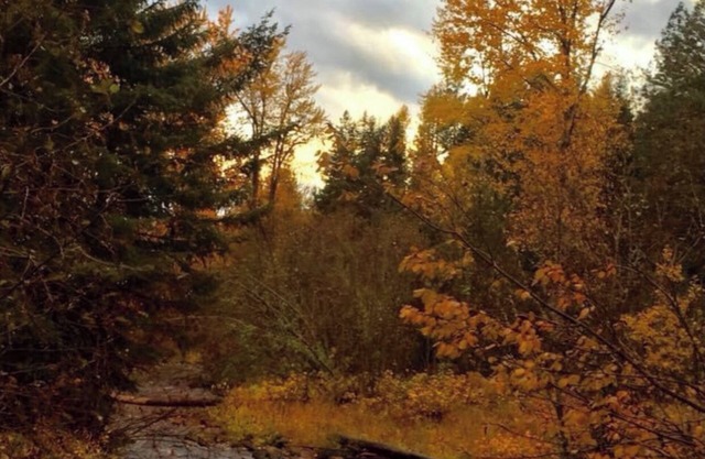 Grant Creek Lodge-Family, Friends and Retreats