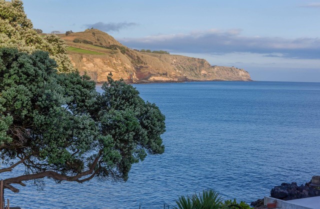 GRAVIANA - PEDRA AZUL by Azores HomeMade
