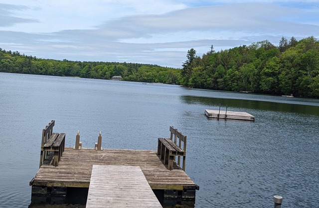 Great Family Cabin in the woods on a lake.
