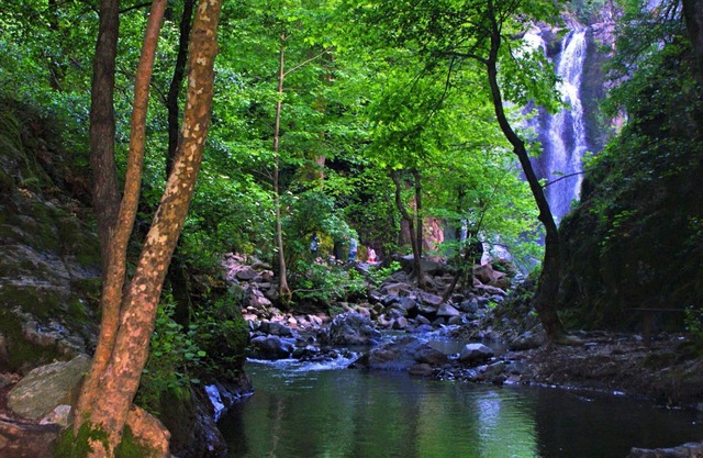 Green Termal Otel
