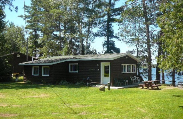 Green Tree Getaway on the Lake | 2 Bed, 1 Bath