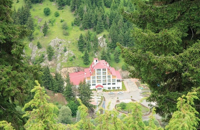 Green Valley Savsat