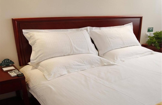 GreenTree Inn TianJin Jinnan District Xiaozhan Training Park Express Hotel