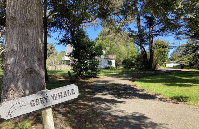 Grey Whale so close to so many beaches, hikes and more!!