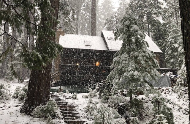 Grizzly Bear Lodge in der Nähe von Sugarpine Creek