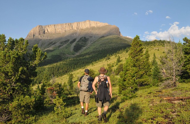 Harmonie im Paradies - Grizzly Suite in Rocky Mountain Front - komfortabel
