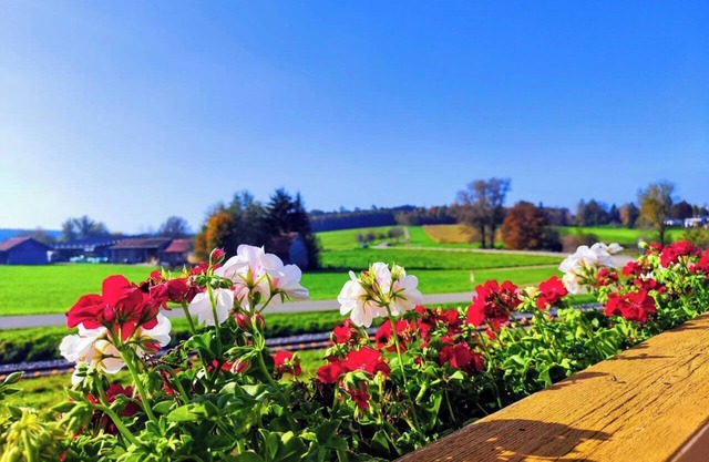 Großes ländliches Haus mit Garten und malerischem Ausblick, beste Lage im Allgäu