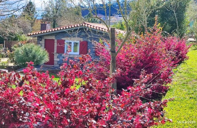 Guest House - Quinta da Giesteira quiet Country House with private outdoor spa in Penafiel, Oporto