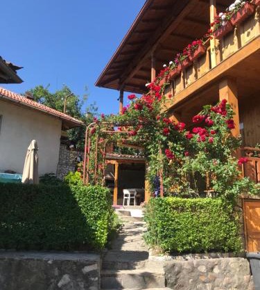 Guest House Roden Dom