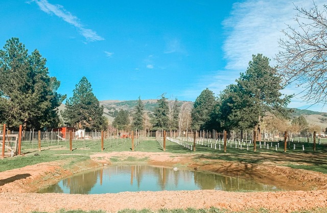 Guesthouse Farmstay @ BarrelCreek Farm & Vineyards