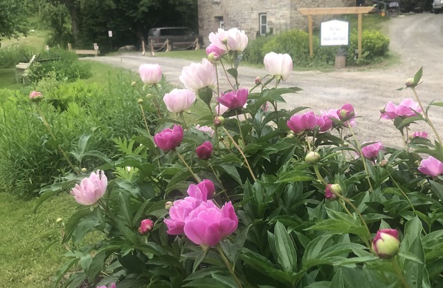Rustic Inn in der Shaker Tradition