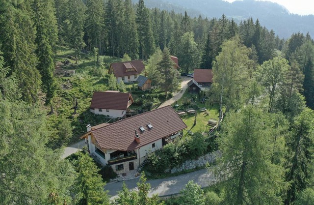 Guesthouse Planinski Dom Majerhold