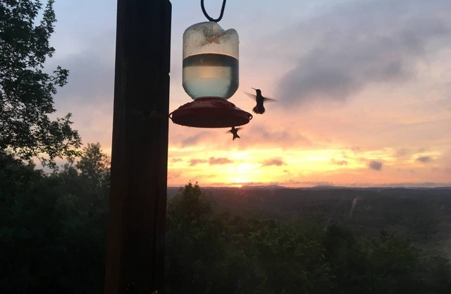 Sie genießen Ihr eigenes Apartment mit 1 Schlafzimmer im Ozarks