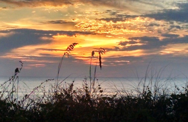 STRANDVORDERSEITE - 3 Bdrm / 3. 5 Bad-Stadthaus mit herrlichem Blick-5-Sterne-Bewertung,