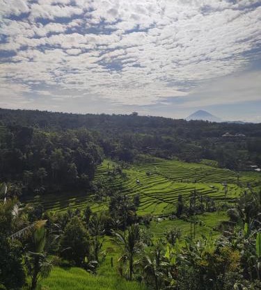 Gunza Bed and Breakfast