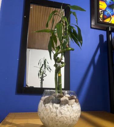 Habitaciones tranquilas Usaquen