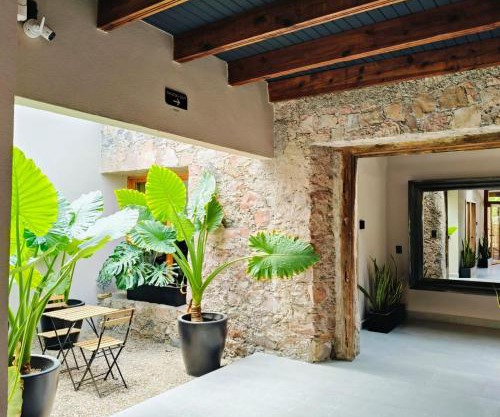 Hacienda Álamos