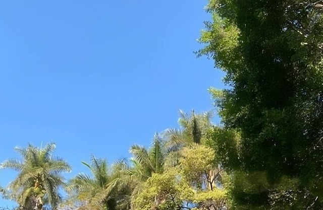 Hacienda de Teresa