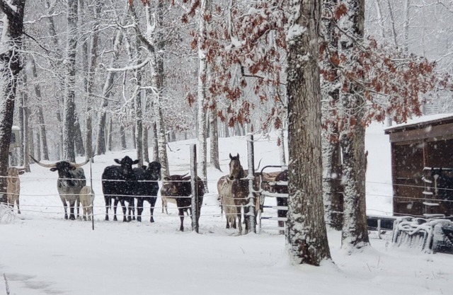 Hagood farms and trails