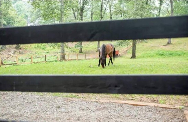 Half Moon Farm