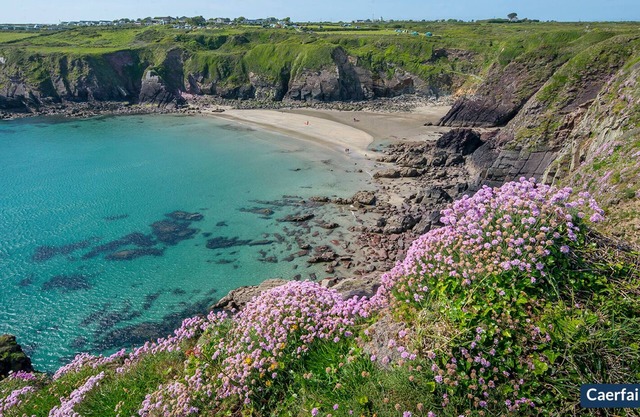 Halfways, Holiday Home St Davids, Sleeps 8, 4 bedrooms, bathrooms